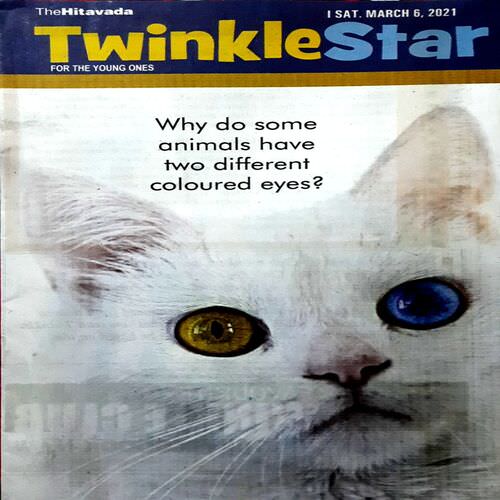 Twinkle Star