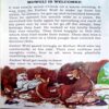 Best Of Mowgli Tales