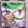 MAHABALI SHAKA AND SNAKE'S TREASURY
