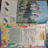 Champak ( June-1st-2004 ) Small