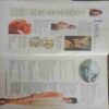 Femina (September 1, 1998 )