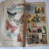 Amaland Ki Hamlwar .( Part - 02 ). [ Spine Cut But Not Impact In Story ].