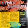 Universe, Animals & Earth Encyclopedia (Set Of 3 Books)
