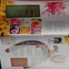 Home Maker (December 2011)