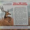 Tell Me Why (May 2013)