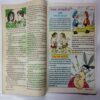 Nanhe samrat (February 1999)( Cover less , Last 3 pages missng)