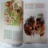 Robin Hood Part -1