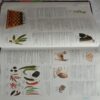 Illustrated Oxford Dictionary