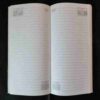 Diary2001