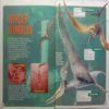 3-D Dinosaurs (Dinosaur Poster Inside)