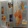 Ultimate Visual Dictionary