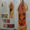 Ultimate Visual Dictionary