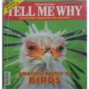Tell Me Why ( May 2019 )