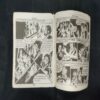 DAULAT KA LUTERA (page no-27 to 32 are messing and back cover messing)