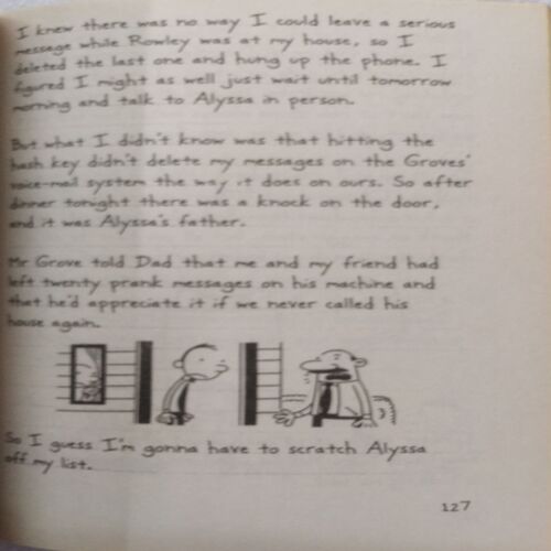 Diary Of A Wimpy Kid : The Third Wheel (By Jeff Kinney)