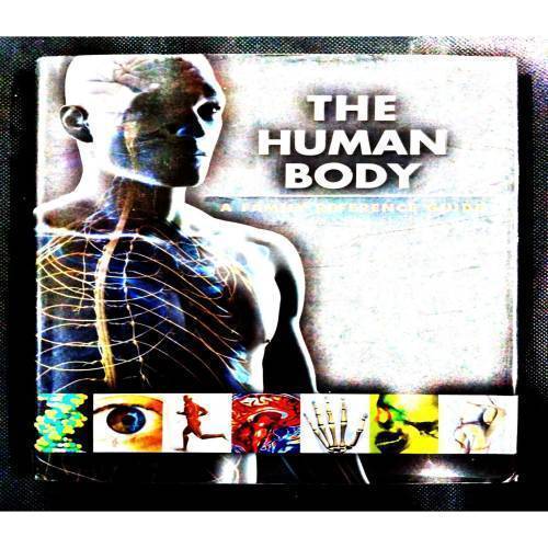 The Human Body .